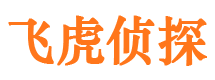 泊头市侦探调查公司